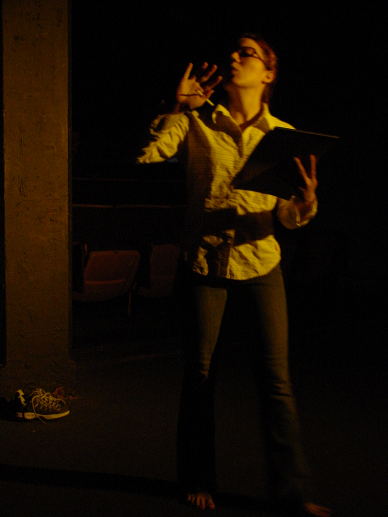 History of a Handgun